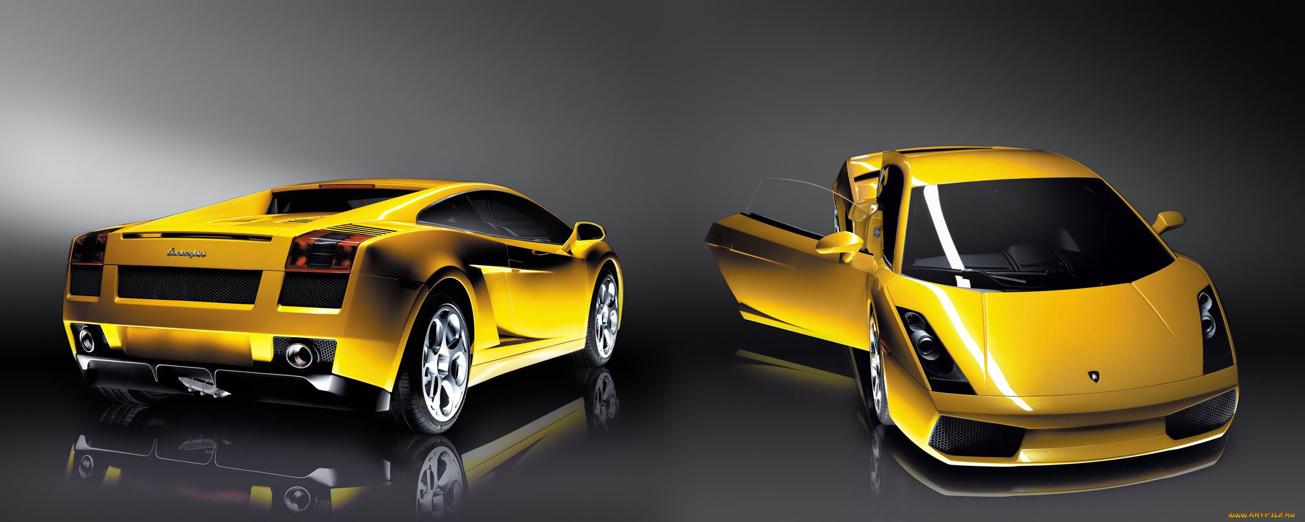 , lamborghini, gallardo